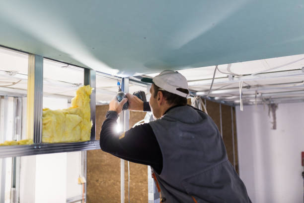 Best Types of Insulation in Guerneville, CA