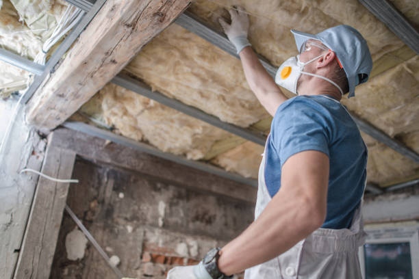 Best Insulation for Specific Applications in Guerneville, CA
